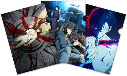 Sakami Merchandise Solo Leveling Clearfile 3-Set