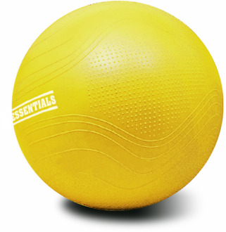 SALE - Gymball PRO V2 - Swiss Ball - 55, 65 of 75 cm