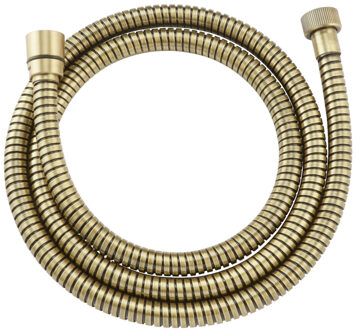 Salenzi Doucheslang Salenzi Giro Geborsteld Messing Goud