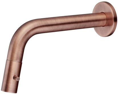 Salenzi Toiletkraan Salenzi Giro Inbouw Mengkraan Rond Geborsteld Koper 1 Greeps Koudwaterkraan