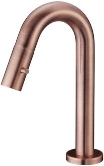 Salenzi Toiletkraan Salenzi Giro Opbouw Mengkraan Gebogen Rond Geborsteld Koper 1 Greeps Koudwaterkraan