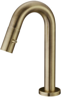 Salenzi Toiletkraan Salenzi Giro Opbouw Mengkraan Gebogen Rond Geborsteld Messing Goud 1 Greeps Koudwaterkraan