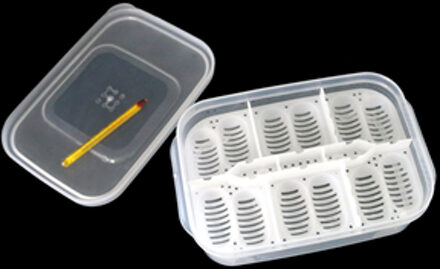Sales 12 Gaten Reptiel Ei Incubatie Lade Met Thermometer Incuberen Gekko Hagedis Slang Eieren Incubatie Tool