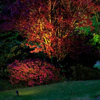 Sally grondspies lamp met kabel en stekker antraciet, helder