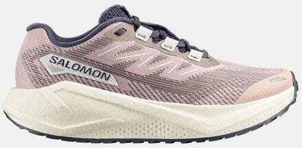 Salomon Aero Blaze 3 GRVL Hardloopschoen Dames Grijs - UK 7