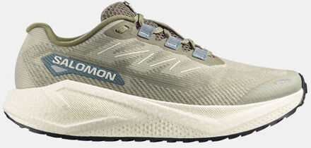 Salomon Aero Blaze 3 GRVL Hardloopschoen Groen - UK 11