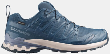 Salomon XA Pro 3D V9 Gore-Tex Trailschoen Blauw - UK 9.5