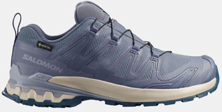 Salomon XA Pro 3D V9 Gore-Tex Trailschoen Dames Blauw - UK 7.5