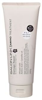 Salon Link Amino Treatment Damage Repair 300g