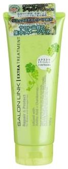 Salon Link Repair & Protect Extra Treatment 300g
