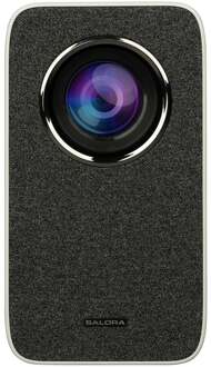 Salora 45BHM2550 Beamer Wit