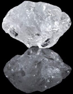 Saltland - A Common Truth