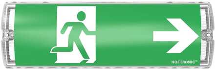 Salus LED Noodverlichting met accu wand-/plafondmontage 3 Watt 6500K IP65 Spatwaterdicht Incl. pictogram met vluchtwegaanduiding Grijs