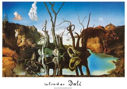 Salvador Dali - Reflections Of Elephants Kunstdruk 80x60cm