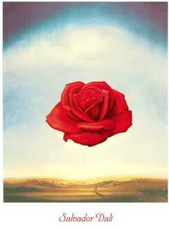 Salvador Dali - Rose Meditative Kunstdruk 60x80cm