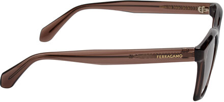Salvatore Ferragamo Mannen Rechthoekige Acetaat Zonnebril SF2001S Bruin - One Size