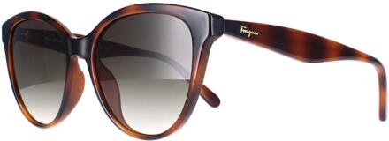 Salvatore Ferragamo SF1073S 240 tortoise grijs gradiënt zonnebril Bruin - One Size