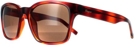 Salvatore Ferragamo SF959S 214 tortoise bruin zonnebril - maat