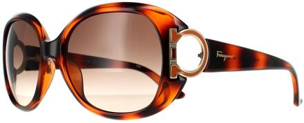 Salvatore Ferragamo zonnebril SF668 238 Tortoise Brown Gradiënt Bruin - One Size