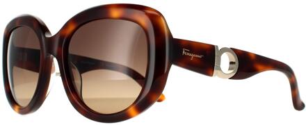 Salvatore Ferragamo zonnebril SF727S 214 Tortoise Brown Gradient Bruin