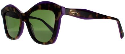 Salvatore Ferragamo zonnebril SF941S 227 Havana Vintage Violet Green Bruin
