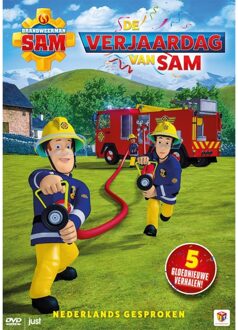 SAM S VERJAARDAG | DVD