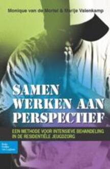 Samen werken aan perspectief - Boek Monique van de Mortel (9031385778)