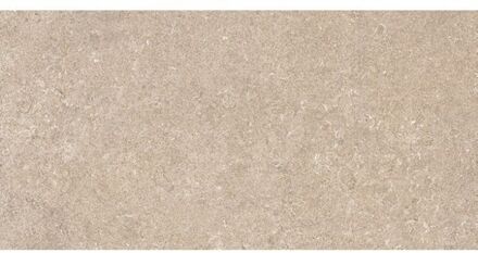 SAMPLE Baldocer Cerámica Pierre keramische wandtegel natuursteenlook gerectificeerd gerectificeerd 30 x 60 cm, Taupe