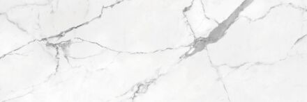 SAMPLE Cifre Cerámica Statuario keramische vloertegel marmerlook gerectificeerd 40 x 120 cm, glanzend wit/zwart