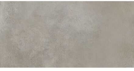 SAMPLE Herberia Ceramiche Timeless keramische vloertegel betonlook gerectificeerd 30 x 60 cm, silver