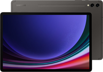Samsung Galaxy Tab S9+ 5G SM-X816 256GB Grijs