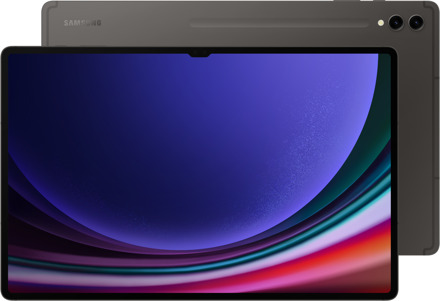 Samsung Galaxy Tab S9 Ultra WiFi SM-X910 256GB Grijs