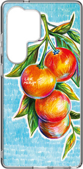 Samsung Hybrid Case voor de Samsung Galaxy S25 Ultra - Lieve Merlijn / Mandarin Blauw