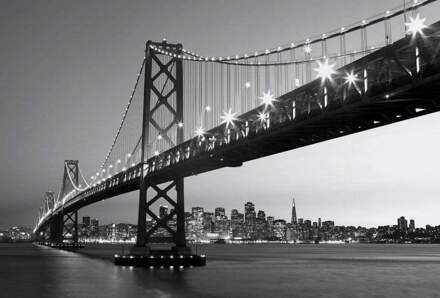 San Francisco Skyline Vlies Fotobehang 384x260cm 8-banen