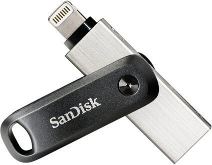 Sandisk iXpand GO Flash drive 3.0 256GB USB-sticks Grijs