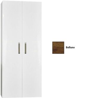 Sanicare Kolomkast Dubbel Sanicare Q9/Q10/Q11 Soft-Closing Deuren Chromen Greep 160x67x32 cm Belluno Belluno-Eiken