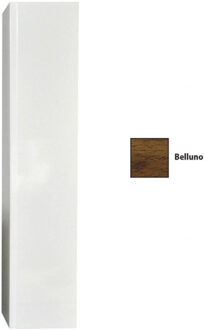 Sanicare Kolomkast Sanicare 1 Soft-Closing Deur Greeploos 160x33,5x32 cm Belluno Belluno-Eiken