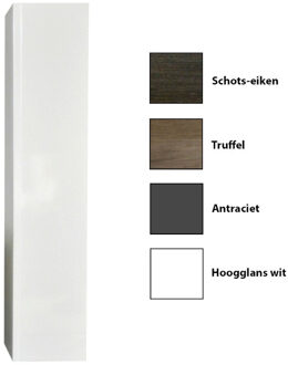 Sanicare Kolomkast Sanicare 1 Soft-Closing Deur Greeploos 160x33,5x32 cm Truffel