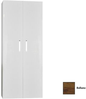 Sanicare Kolomkast Sanicare Q1/Q12/Q17 2-Deurs Soft-Closing Chromen Greep 160x67x32 cm Belluno Belluno-Eiken