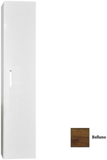 Sanicare Kolomkast Sanicare Q1/Q12/Q17 Soft-Close Deur 160x33,5x32 cm Belluno Belluno-Eiken