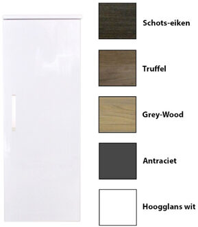 Sanicare Kolomkast Sanicare Q1/Q12/Q17 Soft-Close Deur Chromen Greep 90x33,5x32 cm Grey-Wood Eiken