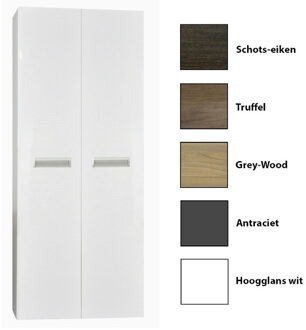 Sanicare Kolomkast Sanicare Q2/Q3/Q8 2-Deurs Soft-Closing Alu Greep 160x67x32 cm Grey-Wood