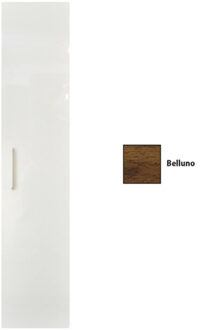 Sanicare Kolomkast Sanicare Q4/Q15 1 Soft-Closing Deur 160x33,5x32 cm Belluno Belluno-Eiken