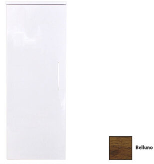 Sanicare Kolomkast Sanicare Q4/Q15 1 Soft-Closing Deur 90x33,5x32 cm Belluno Belluno-Eiken