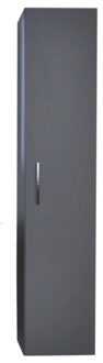 Sanicare Kolomkast Sanicare Q6/Q14/Q16 1 Soft-Closing Deur 160x33,5x32 cm Antraciet