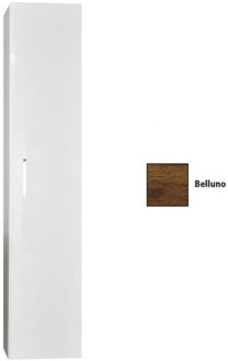 Sanicare Kolomkast Sanicare Q6/Q14/Q16 1 Soft-Closing Deur 160x33,5x32 cm Belluno Belluno-Eiken