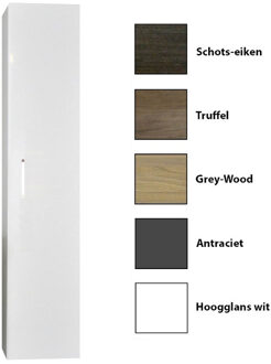 Sanicare Kolomkast Sanicare Q6/Q14/Q16 1 Soft-Closing Deur 160x33,5x32 cm Grey-Wood Eiken