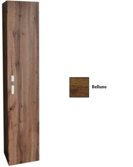 Sanicare Kolomkast Sanicare Q9/Q10/Q11 1 Soft-Closing Deur Chromen Greep 160x33,5x32 cm Belluno Belluno-Eiken