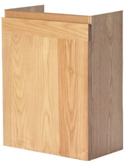 Sanilux Fonteinkast Sanilux Wood Hangend Greeplijst Korpus Scharnier Rechts 52x40x22 cm Eiken