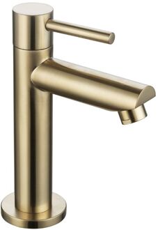 Sanilux Fonteinkraan Sanilux 15,5 cm Goud